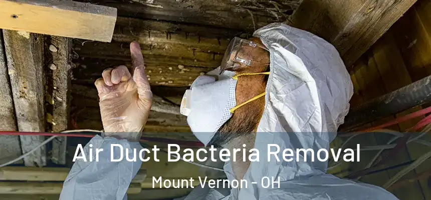 Air Duct Bacteria Removal Mount Vernon - OH