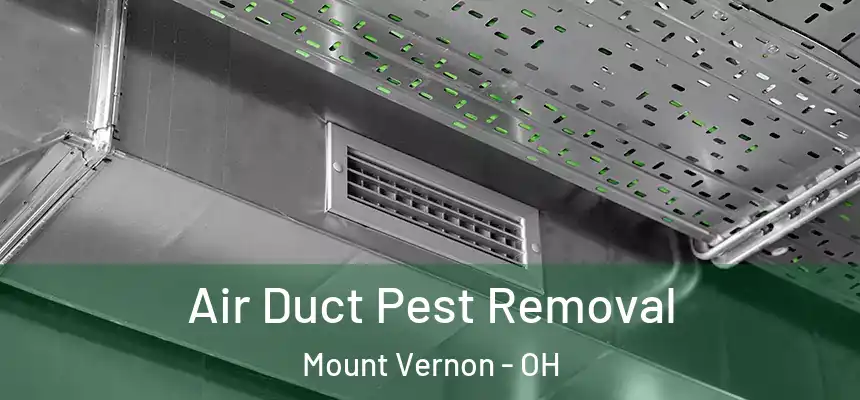 Air Duct Pest Removal Mount Vernon - OH