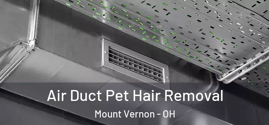 Air Duct Pet Hair Removal Mount Vernon - OH