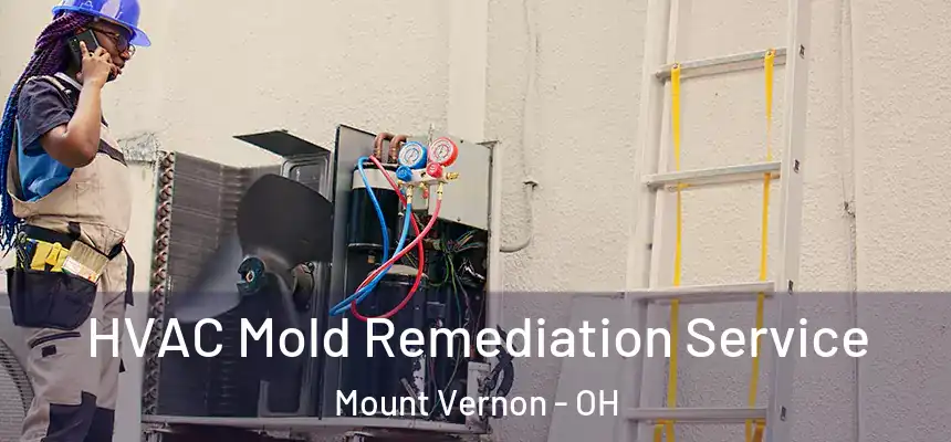  HVAC Mold Remediation Service Mount Vernon - OH