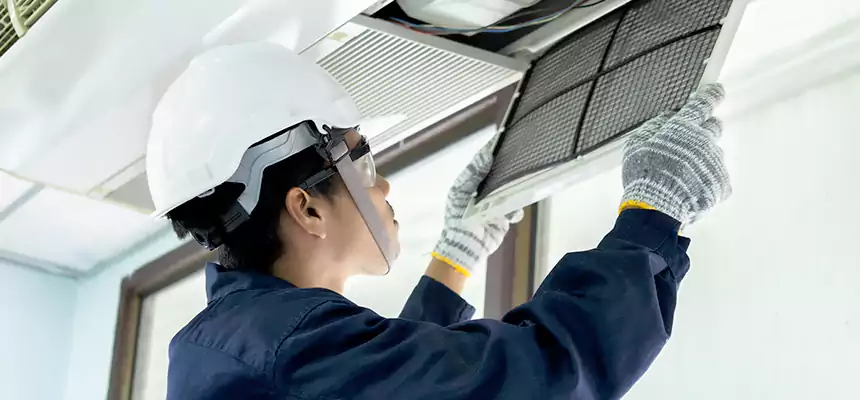 Our Mold & Mildew Removal from Air Ducts Services in Mount Vernon, OH