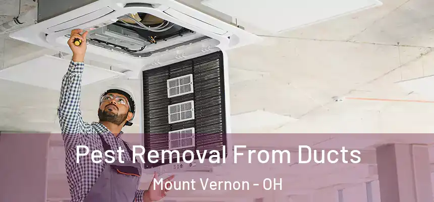 Pest Removal From Ducts Mount Vernon - OH
