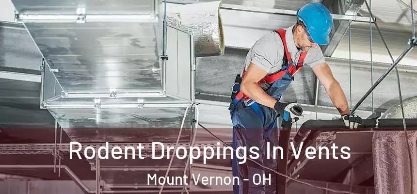  Rodent Droppings In Vents Mount Vernon - OH