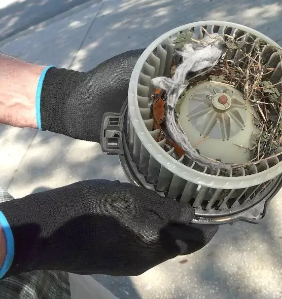 About Air Duct Rat Removal in Mount Vernon, OH