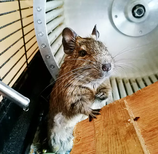 Why Homeowners & Businesses Trust Us Mount Vernon, OH